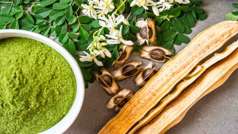 Moringa aumenta a fertilidade - tudo o que você precisa