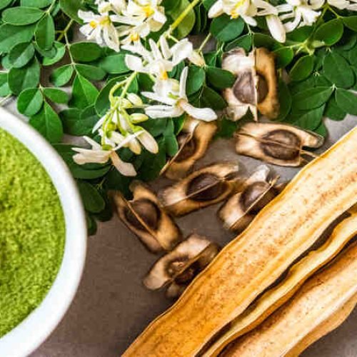 Moringa aumenta a fertilidade - tudo o que você precisa